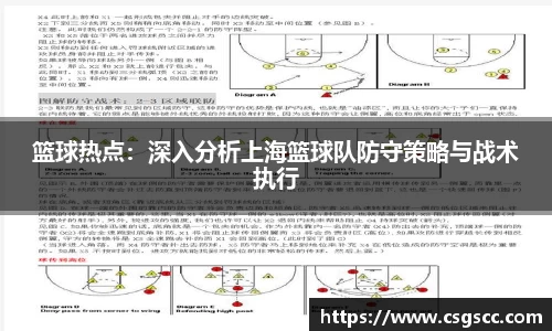 篮球热点：深入分析上海篮球队防守策略与战术执行